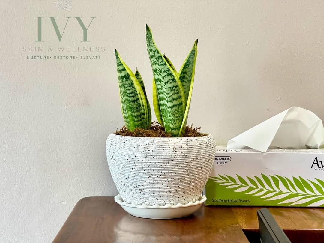 Plant detail at IVY